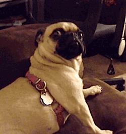 换季维稳护肤品敏感混油皮,换季抗过敏药