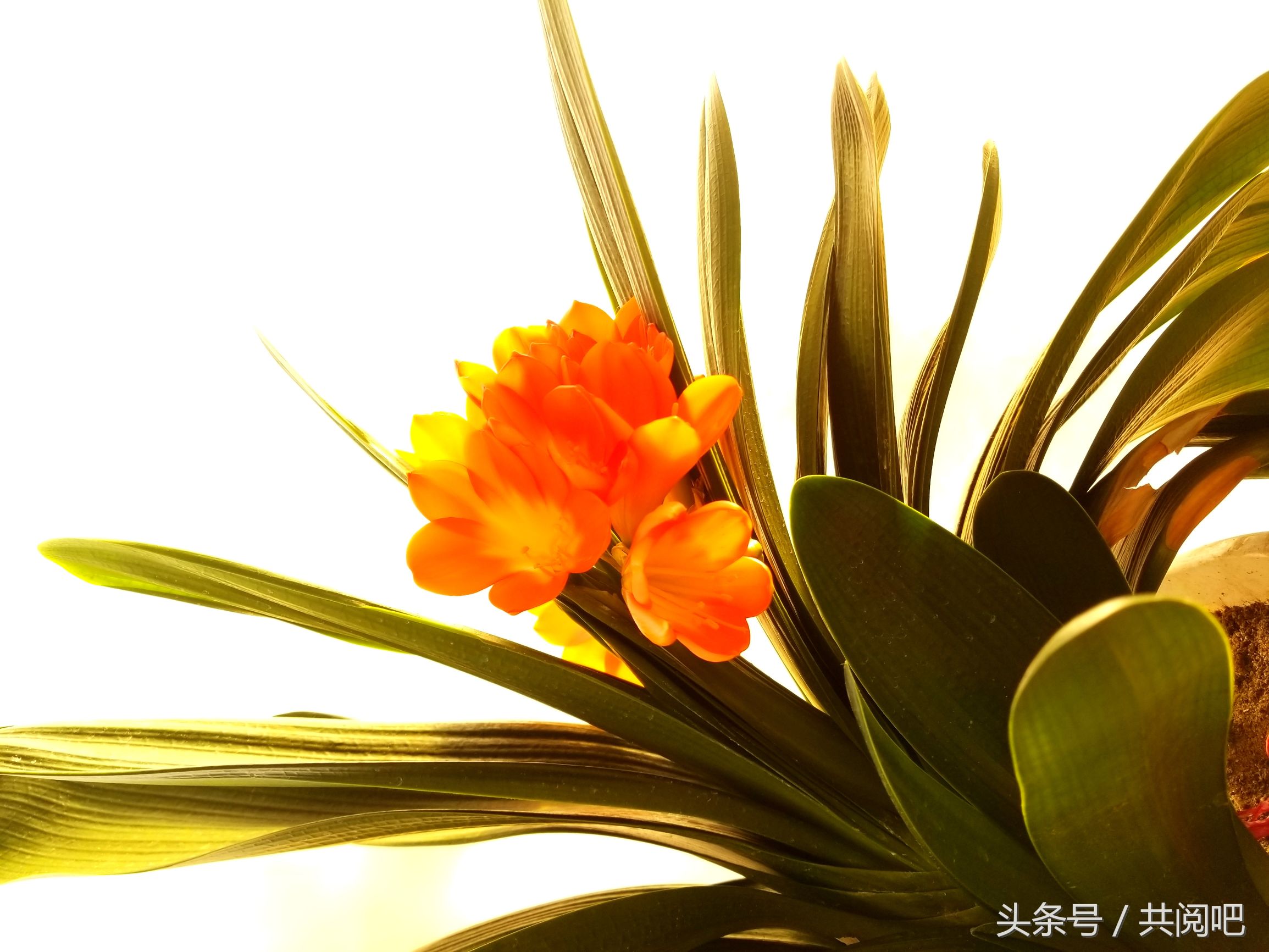 读心术——一句话教你读懂心理学，小动作隐藏大秘密