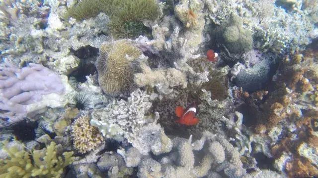巴拉望科隆岛旅行,旅游菲律宾值得去的岛屿