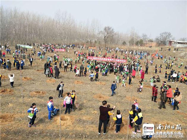 植树种草美化家园,植树美化家园