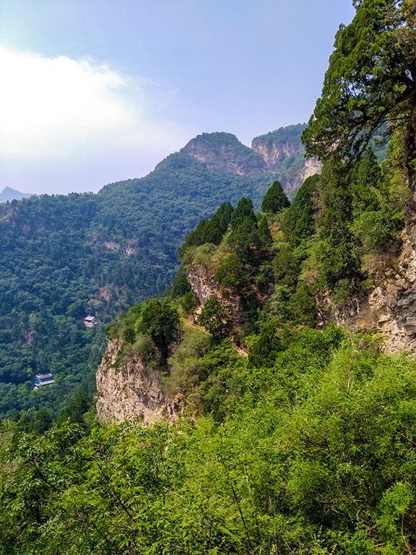 上方山森林动物世界游记,上方山动物园游记四年级