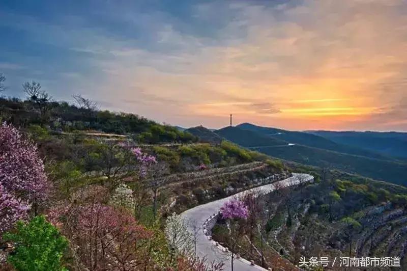 河南最美桃花海,浪漫西藏林芝桃花有多惊艳