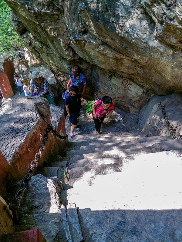 上方山森林动物世界游记,上方山动物园游记四年级