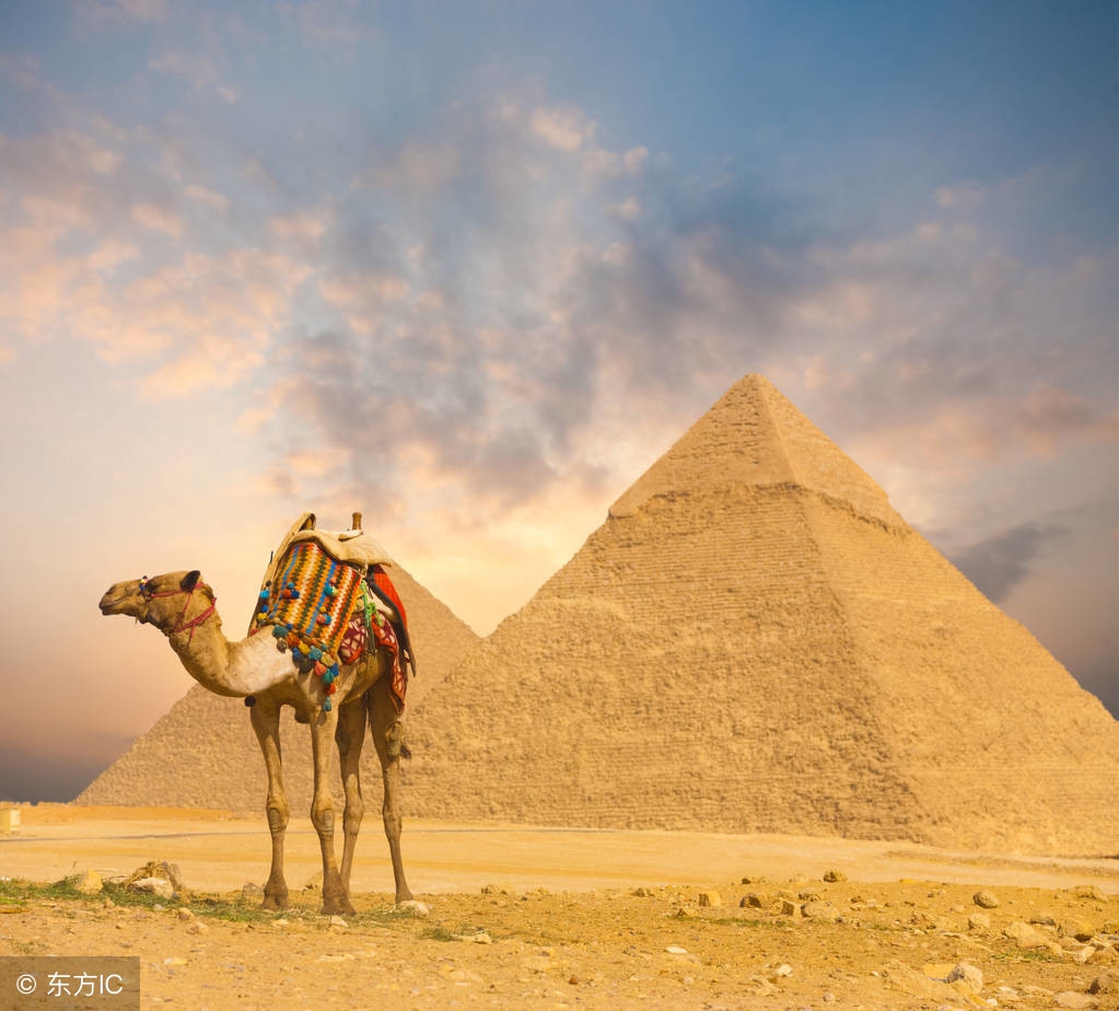 999元买一部iphonex,600块钱买一个iphonex