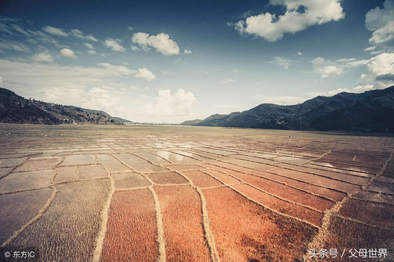 世界地球日，最适合孩子看的18部自然纪录片，趁周末，带娃看起来