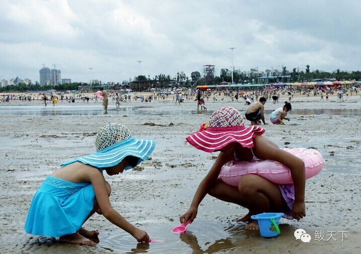 鲅鱼圈旅游景点大全攻略,鲅鱼圈旅游攻略必去十个景点