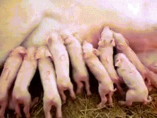 当农民到底能不能挣大钱？