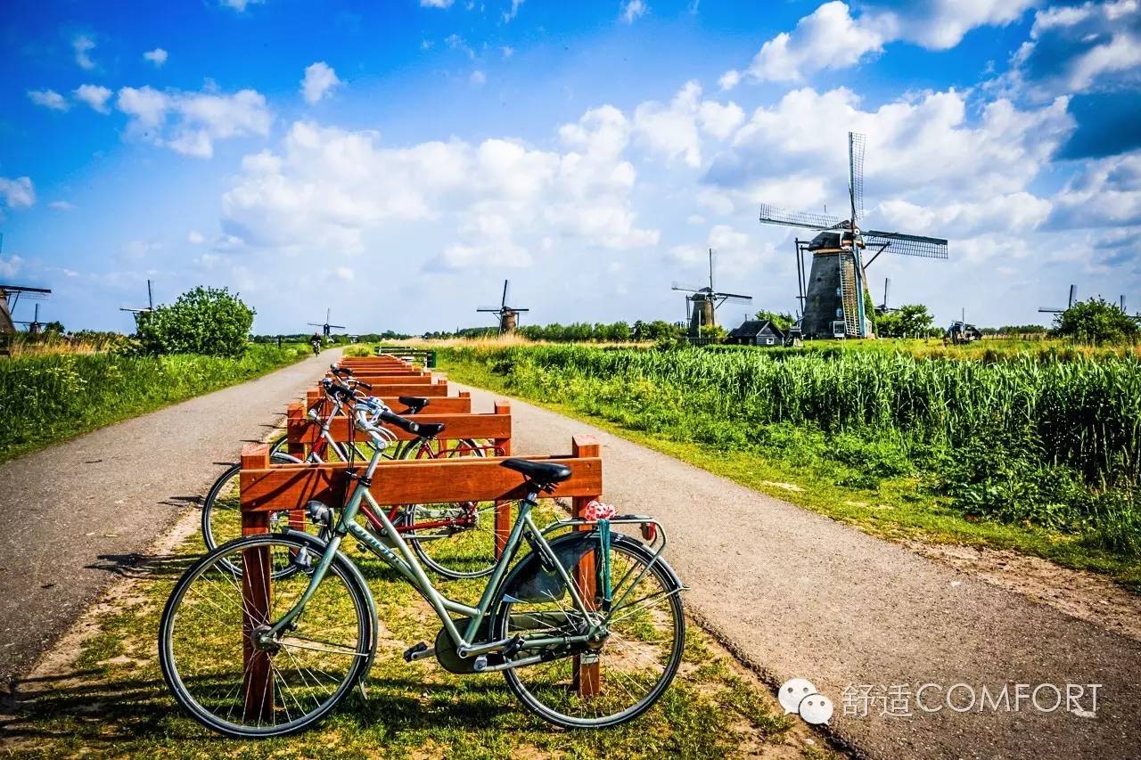 荷兰假期送给孩子最好的礼物