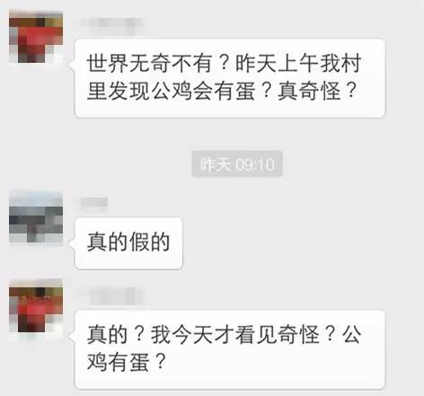 公鸡会下蛋吗图文,真正的公鸡会下蛋吗