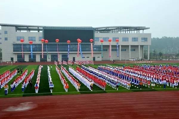 开展新时代主题教育活动,新时代主题教育活动报道