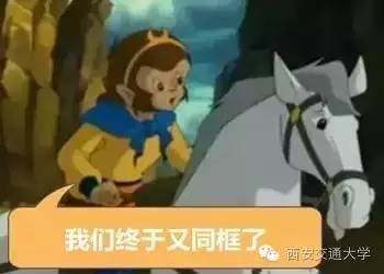 猴年马月最后一天视频,猴年马月有没有重逢的一天