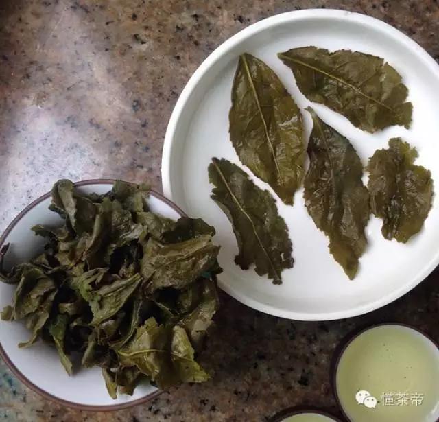 鉴别铁观音茶叶的好与坏视频,铁观音怎么鉴别好坏