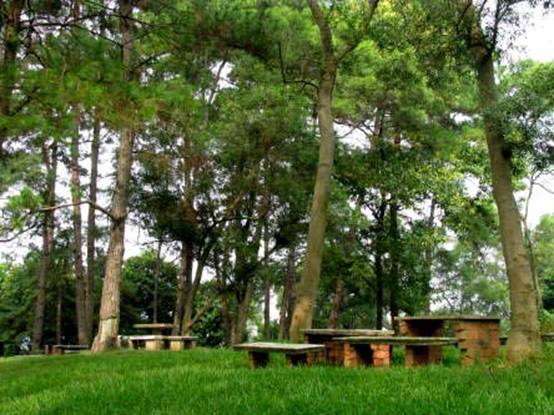 南宁十大最美农家乐推荐,南宁农家乐排行榜适合小朋友