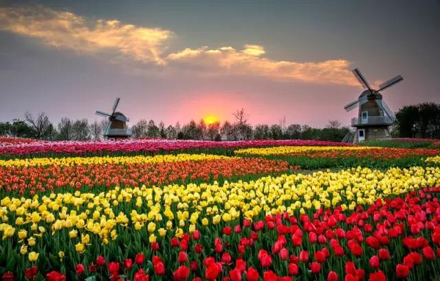 挺住抖音完整版,挺住抖音版