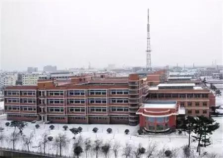 连云港人挤破头都想进的19所学校！从幼儿园到高中，全在这！