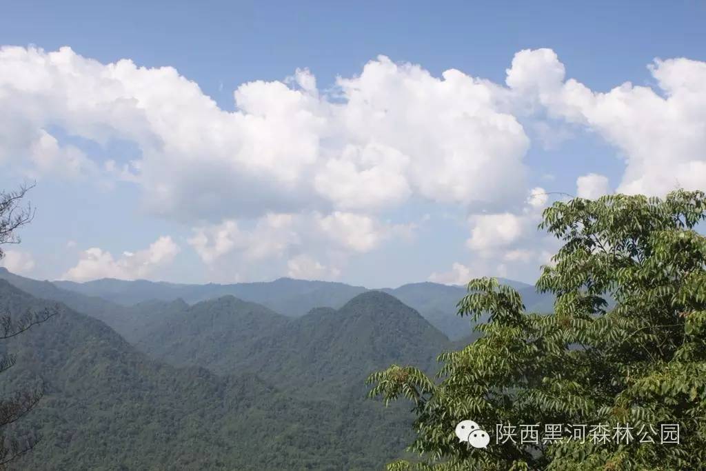 西安周边周至老县城,陕西香格里拉