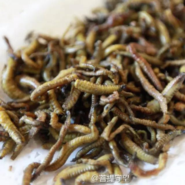 这些“恶心”的福建美味!恐怕顶级的福建吃货也难以吃到了……