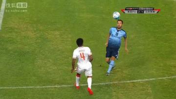 悉尼fc表现不俗本场有望复仇成功,悉尼fc踢假球