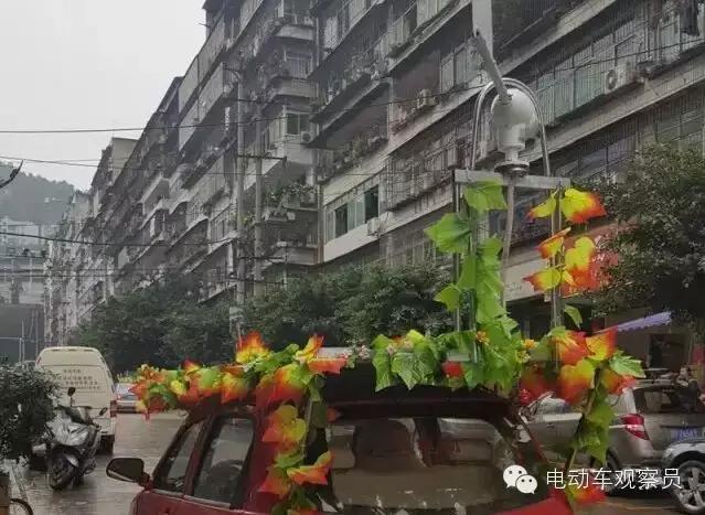 你见过利用“太阳能”和“风能”的电动车吗？