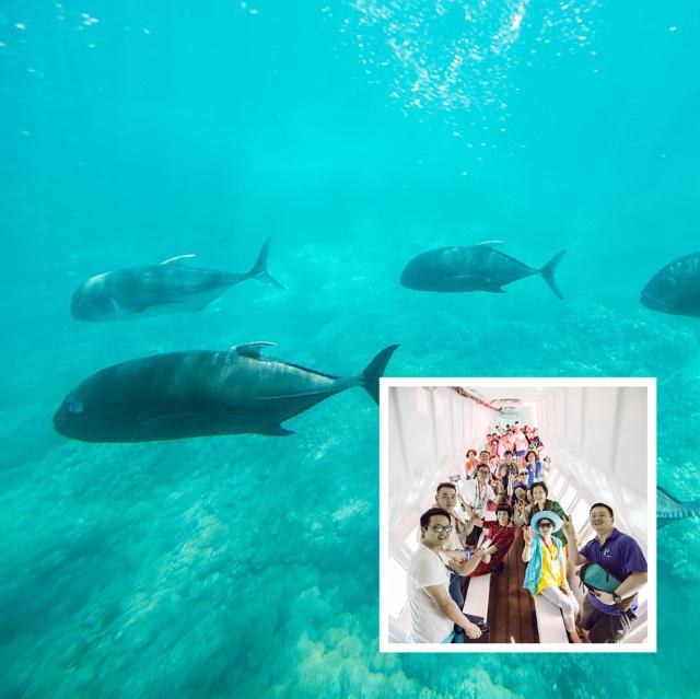 听说最会撩的小妖精都有两面！炫色安利耶格中国