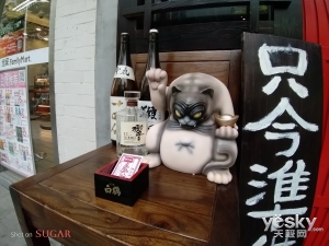 糖果s11配置怎么样,s101深度评测