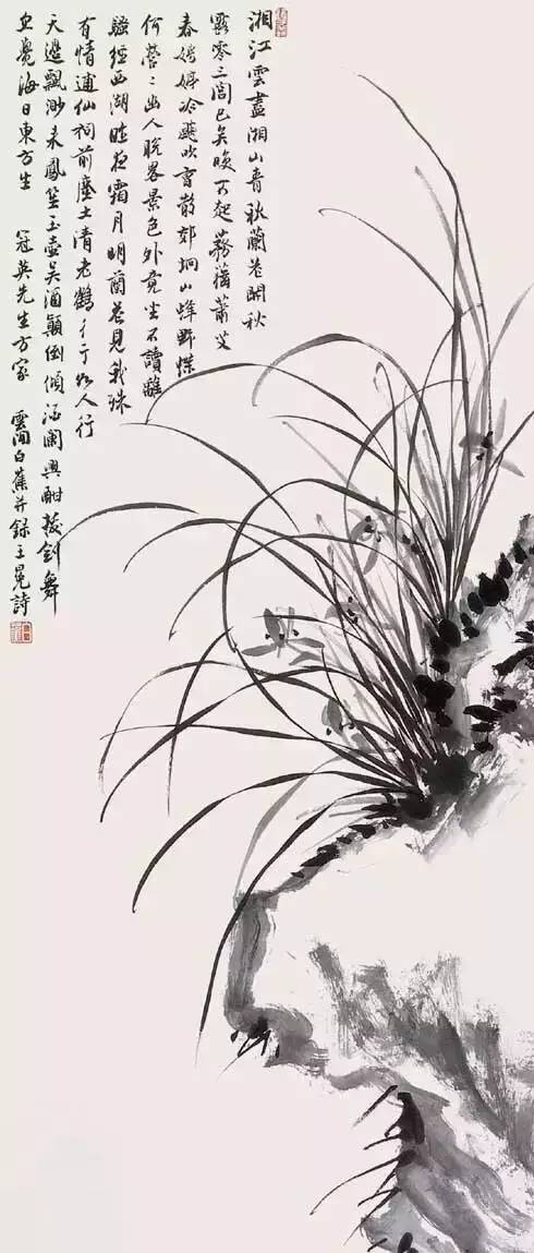 国画写意兰花入门教程视频,写意兰花菊花大师作品欣赏