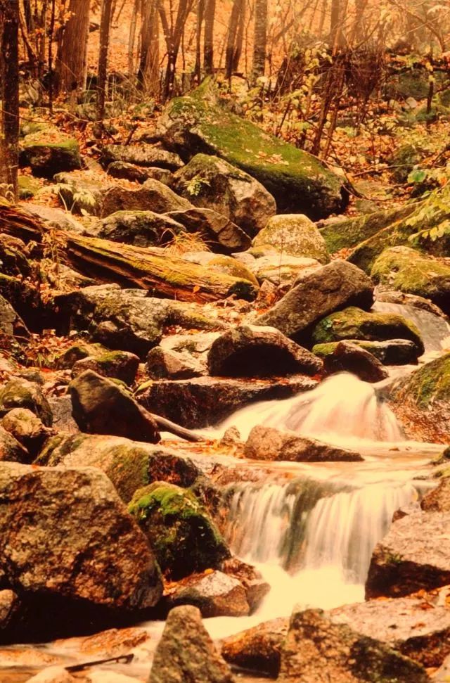 为什么阿尔山是欧洲风格,阿尔山为什么有国门