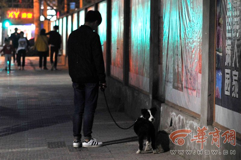 遛狗不牵绳记者,遛狗不拴绳被民警发现