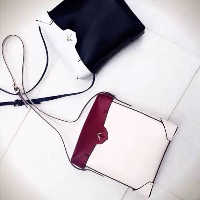 小众和大牌包哪个好用 (好看不贵的小众包实力种草)