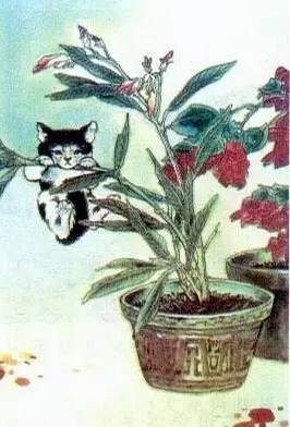 那些最熟悉的画面,这些曾经熟悉的画面你还有印象吗