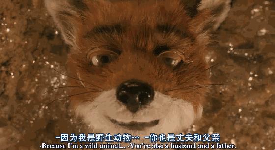 疯狂动物城狐狸尼克,疯狂动物城尼克狐狸