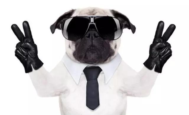 买行车记录仪要注意些什么,买行车记录仪主要问哪些问题