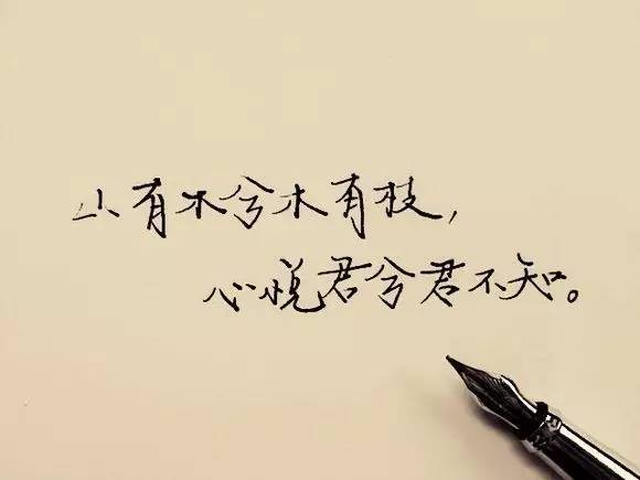 山有木兮心悦君兮君不知下一句,山有木兮木有枝心悦君兮君不知mv