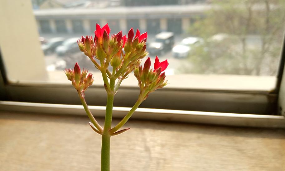 乐2发布会完整版,乐2截图大全