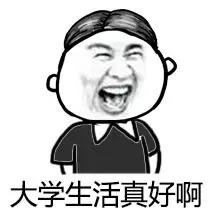 高考作文表情包和文体,高考万能作文图片