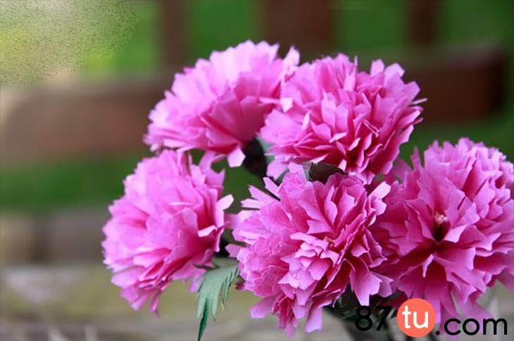 教师节手工制作大全创意康乃馨,教师节礼物手工制作康乃馨简单