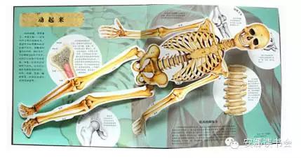 幼儿科普书籍,儿童科普绘本启蒙书