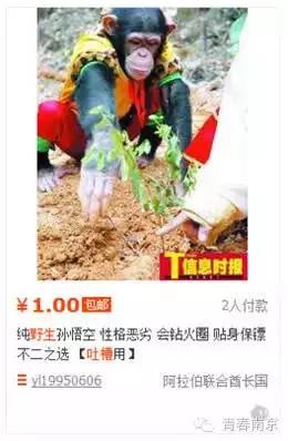 网购“活体葫芦娃”被骗36万！大深山里真的有好多野生宝贝