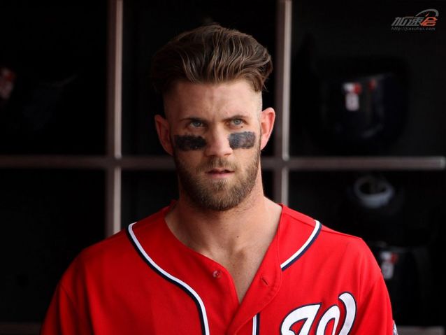 盘点运动明星,运动界的明星有哪些