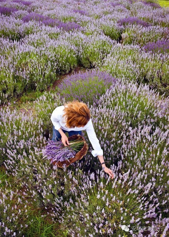 以英国为主9天欧洲深度游推荐,希腊欧洲旅游攻略