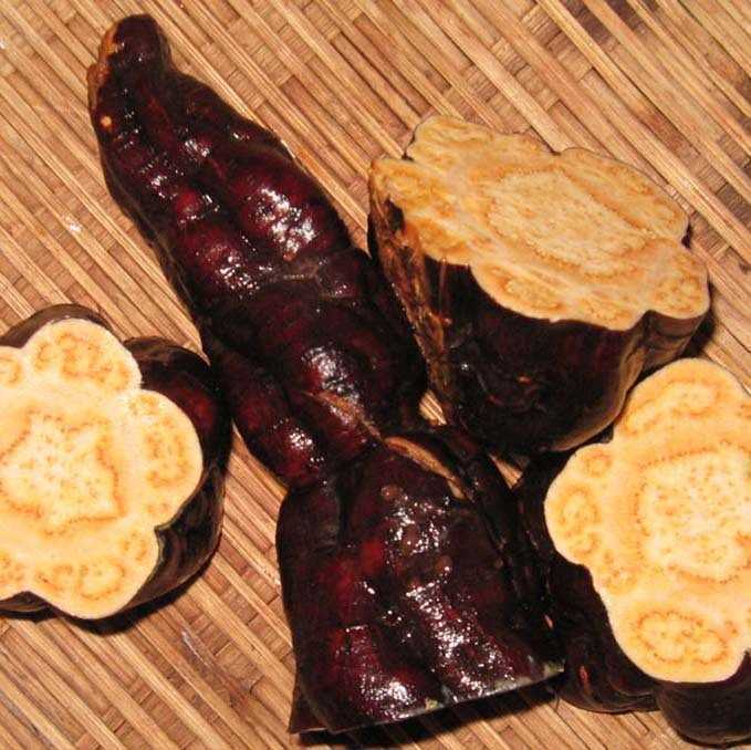 女人也会肾虚吃什么补最快,女人肾虚多吃什么食物好