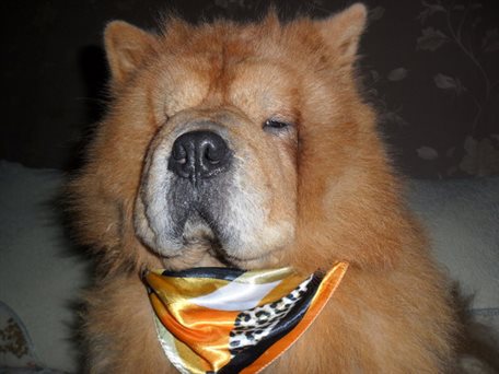 男性怎么看待卫生巾,中国男人对卫生巾的态度