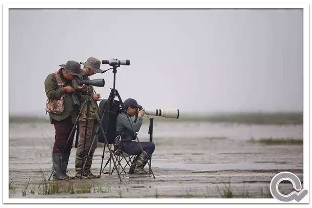 以观鸟为事业，多美好的匠人！||朋友日