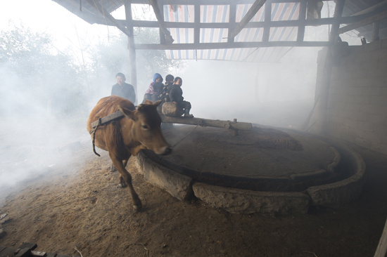 湖南张家界在哪个市,张家界风景区在哪