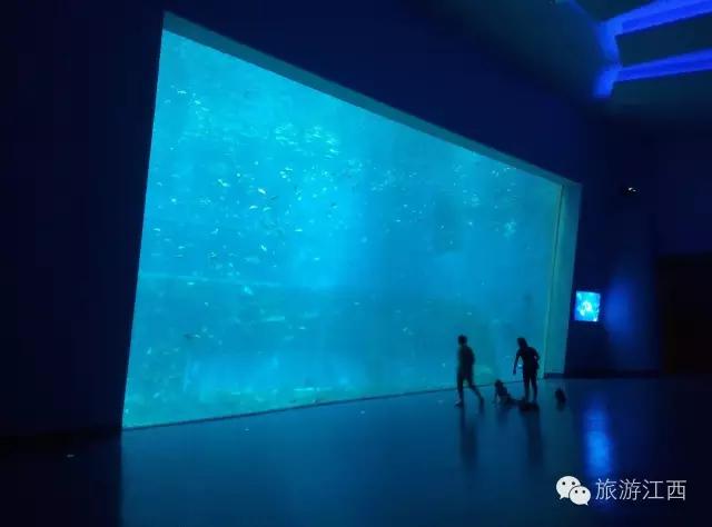 南昌万达城值不值得购买,南昌万达旅游城哪个区好