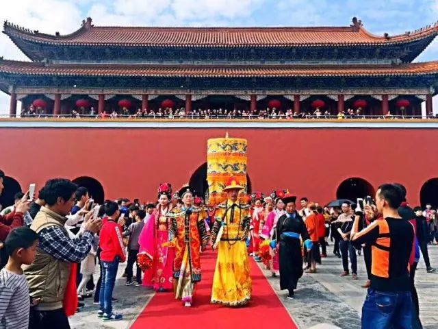 厦门同安千日红三角梅园花海,厦门翔安樱花油菜花