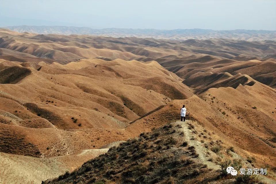 澳洲的父母团聚签证最新政策,2017年签证新规汇总