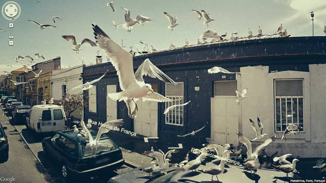 google街景在哪里看,google街景怎么看