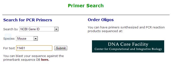 pcr引物设计软件优缺点,idt的在线引物设计工具