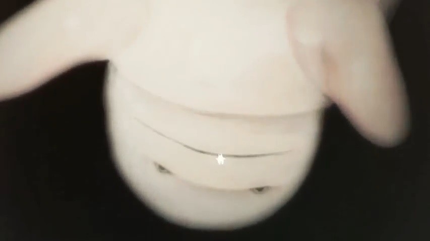 霸权动漫电影,霸权动画上海电影节